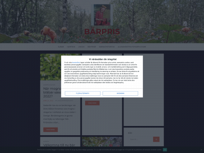 barpris.se snapshot
