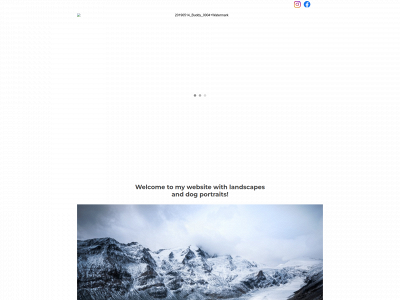 thymenvanschaik.com snapshot