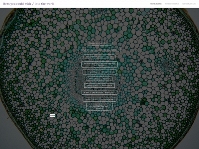 www.johndogliles.com snapshot