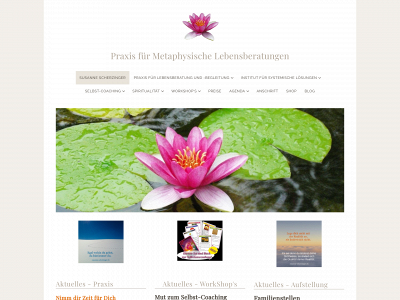 susanne-scherzinger.ch snapshot
