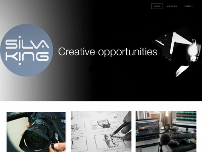 www.silvaking.org.uk snapshot