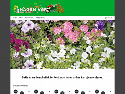 hagenvaar.no snapshot