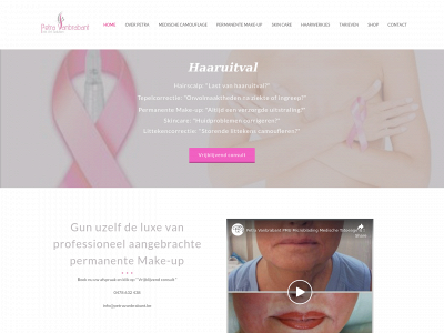 pinkartsolution.be snapshot