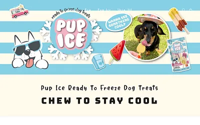 pupice.co.uk snapshot
