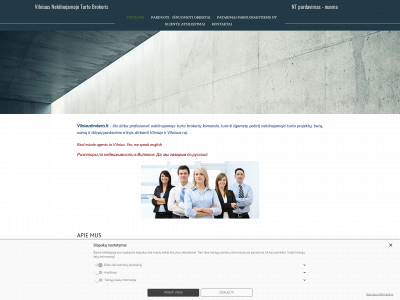 vilniausbrokeris.lt snapshot