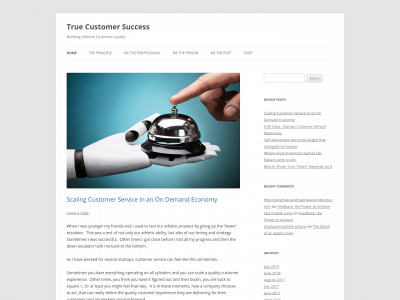 truecustomersuccess.com snapshot