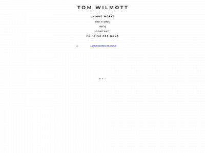 tomwilmott.co.uk snapshot