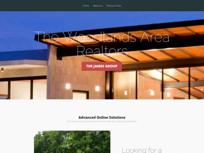 thewoodlandstexasrealtor.com snapshot