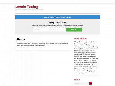loonietuning.com snapshot