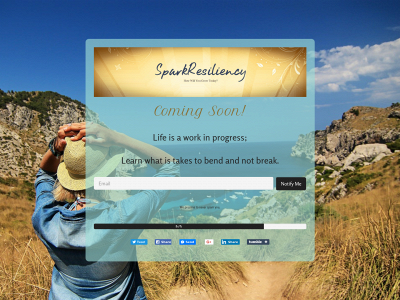 sparkresiliency.com snapshot