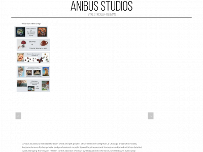 anibusstudios.com snapshot