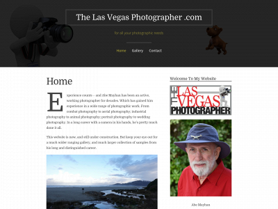 thelasvegasphotographer.com snapshot