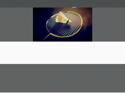 badmintonclubzwalm.be snapshot