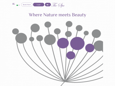appthespa.com snapshot