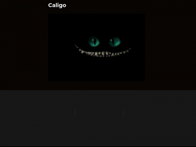 caligo.dk snapshot