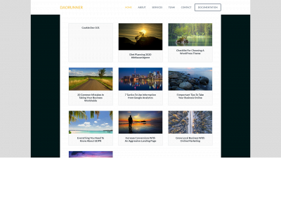 daorunner.com snapshot