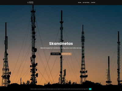 skandnetas.lt snapshot
