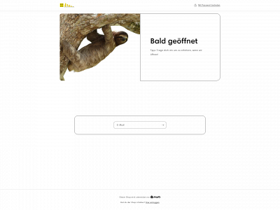steinezeit.com snapshot
