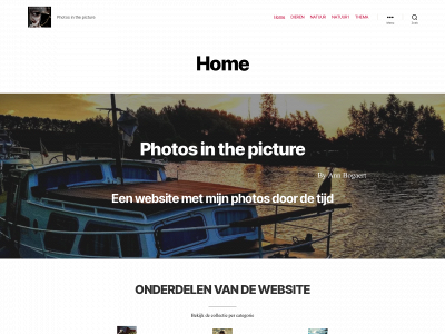 photos-in-the-picture.com snapshot