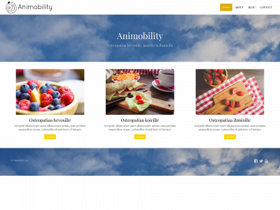 animobility.fi snapshot