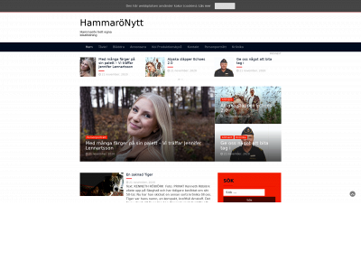 hammaronytt.se snapshot
