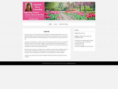 elizabethmeyercounseling.com snapshot