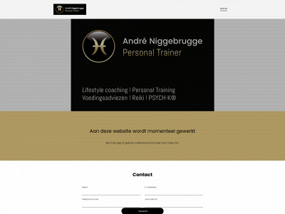 andreniggebrugge.nl snapshot