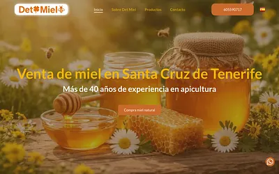 detmiel.com snapshot