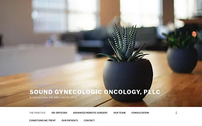 soundgynonc.com snapshot