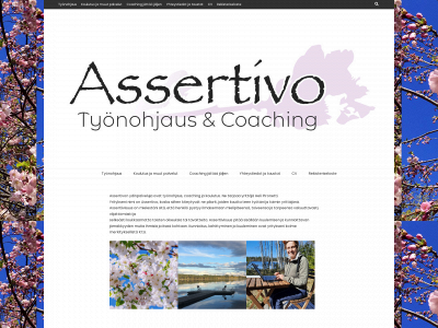 assertivo.fi snapshot