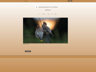 kefoto.se snapshot