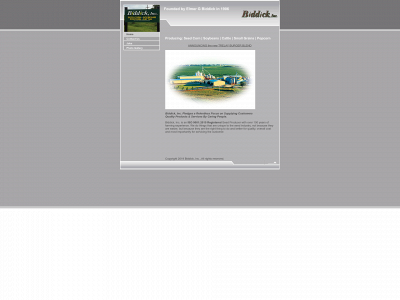 biddick.net snapshot
