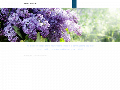 lilacsinga.com snapshot