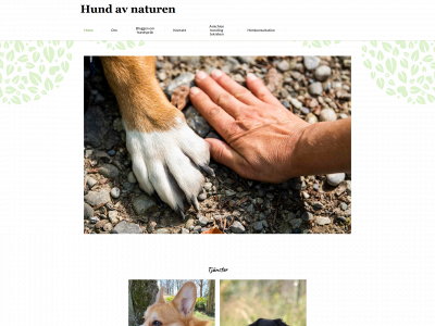 hundavnaturen.se snapshot