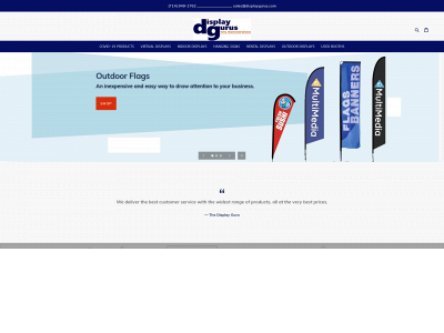 displaygurus.com snapshot