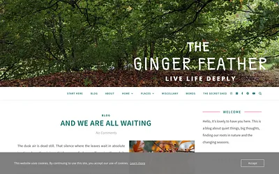 thegingerfeather.com snapshot