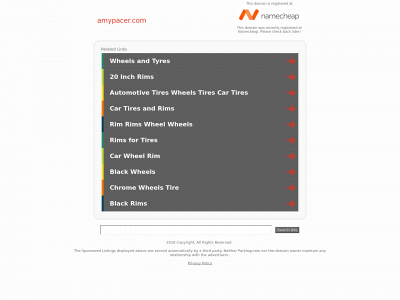 amypacer.com snapshot
