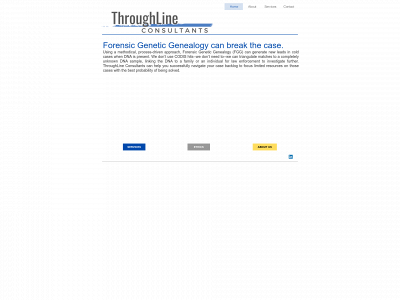 throughlineconsultants.com snapshot