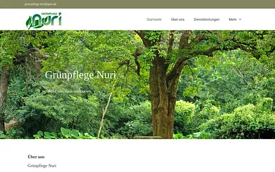 gruenpflege-nuri.de snapshot