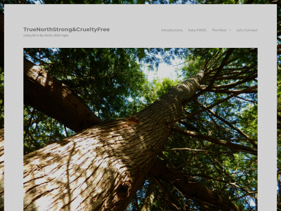 truenorthstrongandcrueltyfree.com snapshot