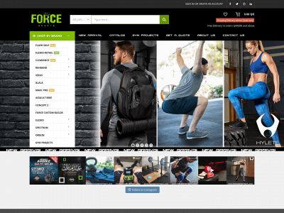 forcesportsintl.com snapshot