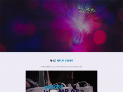 pluckywombat.com snapshot