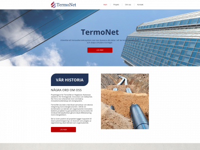 termonet.se snapshot