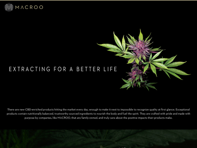 macroolabs.com snapshot