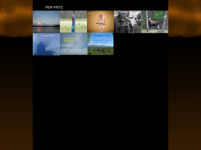 perfritz.se snapshot