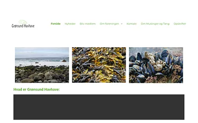 gronsundhavhave.dk snapshot