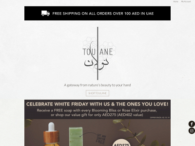 toulane-essentials.com snapshot