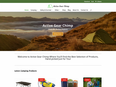 activegearchimp.com snapshot