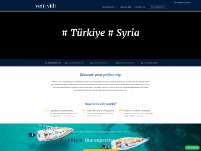 venividitravel.com snapshot