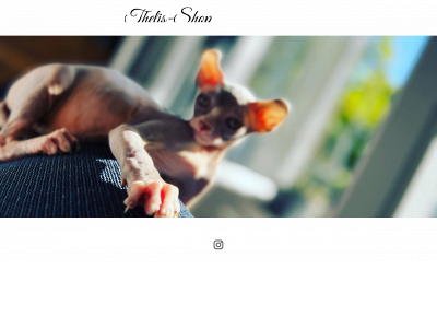 thelis-shop.de snapshot